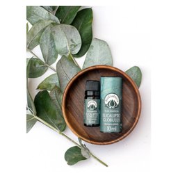 Óleo Essencial de Eucalipto Globulus 10ml Bioessência - 2