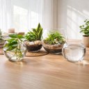Ver imagem 6 de Vaso Tipo Aquário de Vidro Vaso Redondo 2,2 Litros Decorativo para Arranjos e Terrários