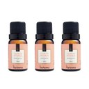Ver imagem 1 de Kit 03 Essência Aromática Flor de Pitanga - 10ml Concentrada