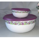 Ver imagem 1 de Tupperware Kit Tigela Toque Mágico Beija-flor 550ml e 4,3lt Tupperware Kit Tigela Toque Mágico Beija