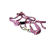 Conjunto Peitoral Ajustável RBPet com Guia - Cães de Médio Porte - 5