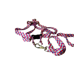 Conjunto Peitoral Ajustável RBPet com Guia - Cães de Médio Porte - 6