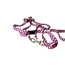 Conjunto Peitoral Ajustável RBPet com Guia - Cães de Médio Porte - 6