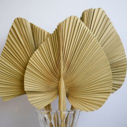 Arranjo Latânia Natural Desidratada no Vaso de Vidro | Formosinha - 3