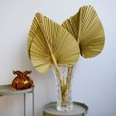 Ver imagem 1 de Arranjo Latânia Natural Desidratada no Vaso de Vidro | Formosinha