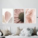 Ver imagem 1 de Kit 3 Quadros Fotos Modernas Flores Rosê 45x34cm - com Vidro:moldura Branca