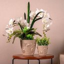Ver mais imagens de Kit Vasos de Plantas Flores 3 Cachepots Decorativos P M G Floreira de Mesa Plástico Plasvale