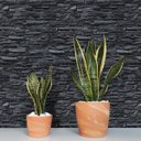 Ver imagem 2 de Papel de Parede Adesivo Pedras Rústicas em Tons de Preto 15m