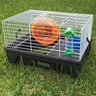 Gaiola para Hamster Pronta para Uso com Rodinha e Acessórios - 4