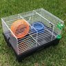 Gaiola para Hamster Pronta para Uso com Rodinha e Acessórios - 3