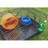Gaiola para Hamster Pronta para Uso com Rodinha e Acessórios - 5