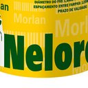 Ver imagem 3 de Arame Farpado Nelore 1,60mm X 250m 1076 Morlan