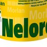Arame Farpado Nelore 1,60mm X 250m 1076 Morlan - 3
