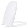 Assento Sanitário Polipropileno Evolution Soft Close Sabatini Branco - Ast900 - Tupan Assento Pp Evo - 1