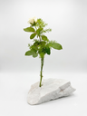 Ver imagem 2 de Vaso Solitário em Pedra Natural com Tubo de Vidro para Decoração