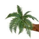 Ver imagem 5 de Kit 4 Buquês de Samambaia Artificial Verde Realista para Casa e Escritório