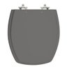 Assento Laqueado Thema Cinza Escuro Tampa para Vaso Incepa - 1