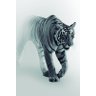 Quadro decorativo Escritório Tigre Fundo Branco 40x60 - 1