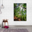 Ver imagem 1 de Quadro Canvas Floresta Ensolarada 70x50