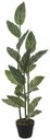 Ver imagem 1 de Planta Artificial Arvore Philodendron Real Toque C/pote X19 Verde Creme 1,2m