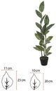 Ver imagem 2 de Planta Artificial Arvore Philodendron Real Toque C/pote X19 Verde Creme 1,2m