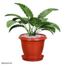 Ver imagem 7 de Kit 6 Pratos para Vaso Redondo Suporte para Planta 22x3,4cm