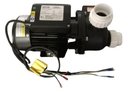 Ver imagem 1 de Bomba 15jh3-m para Banheiras Jacuzzi Ja53017406