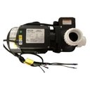 Ver imagem 2 de Bomba 15jh3-m para Banheiras Jacuzzi Ja53017406