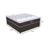 Cama Box Casal + Colchão Molas Ensacadas D28 Marrom Gazin New York 65x138x188 - 6