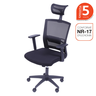 Cadeira Escritorio Presidente Ergonômica NR17 Tela Mesh 3317 - 3