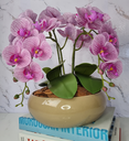 Ver imagem 1 de Arranjo Com 4 Orquídeas Violeta Vaso Fendi 28cm