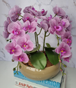Ver imagem 3 de Arranjo Com 4 Orquídeas Violeta Vaso Fendi 28cm