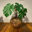 Ver imagem 1 de Arranjo Centro de Mesa Mini Costela de Adão Artificial Completo