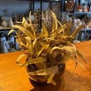 Ver imagem 2 de Arranjo Grande Centro de Mesa Flores Secas Artificial Vaso Incolor Decore Fácil Shop