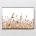 Ver imagem 1 de Quadro Decorativo Capim Rabo de Raposa Com Moldura e Sem Vidro 100X160