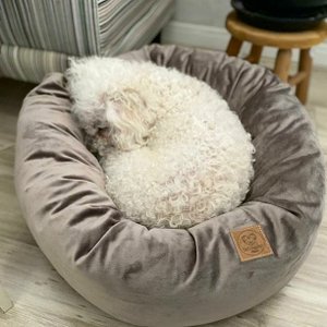 Cama para Pets Cães e Gatos Nuvem Veludo G 70x70:Avelã Veludo