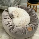 Ver imagem 1 de Cama para Pets Cães e Gatos Nuvem Veludo G 70x70:Avelã Veludo