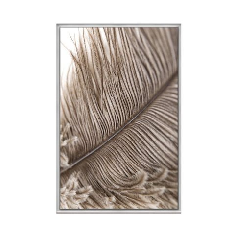 Quadro Decorativo - Pena Passaro Abstrata Flnt044 - Tela Canvas - 60x40cm