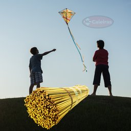 Varetas de Bambu Touceira: 45cm X 3mm - 850un Aprox - 2