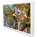 Ver imagem 2 de Quadro Decorativo Girafa em Moldura Caixa Tacolado Moldura Trad 1cm Madeira Escura sem Vidro 30 X 40