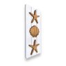 Quadro Decorativo Vertical Concha e Estrelas em Madeira Decoração Casa de Praia - 3
