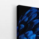 Ver imagem 3 de Arara Penas Azuis Asas Aves Animais Quadro Canvas 120x80cm