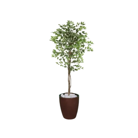 Planta Artificial Ficus Verde Creme 1,5m kit + Vaso S. Marrom 30 cm