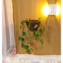 Ver imagem 2 de Vaso Decorativo para Plantas Parede Tamanho P:marrom