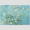 Ver imagem 2 de Quadro Van Gogh Amendoeira Em Flor Tela Moldura Branca 95X63Cm
