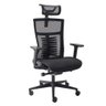 Cadeira de Escritorio Elements Vertta Special Preta - 1