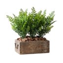 Ver imagem 1 de Kit 15 Mini Buquê Folhagem Samambaia Artificial 35cm para Painel Verde e Decoração Interna