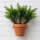 Ver mais imagens de Kit 15 Mini Buquê Folhagem Samambaia Artificial 35cm para Painel Verde e Decoração Interna