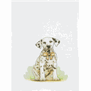Ver mais imagens de Kit 8 Pano de Prato Estampado Búzios Pet - 60cm X 40cm