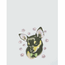 Ver imagem 5 de Kit 8 Pano de Prato Estampado Búzios Pet - 60cm X 40cm